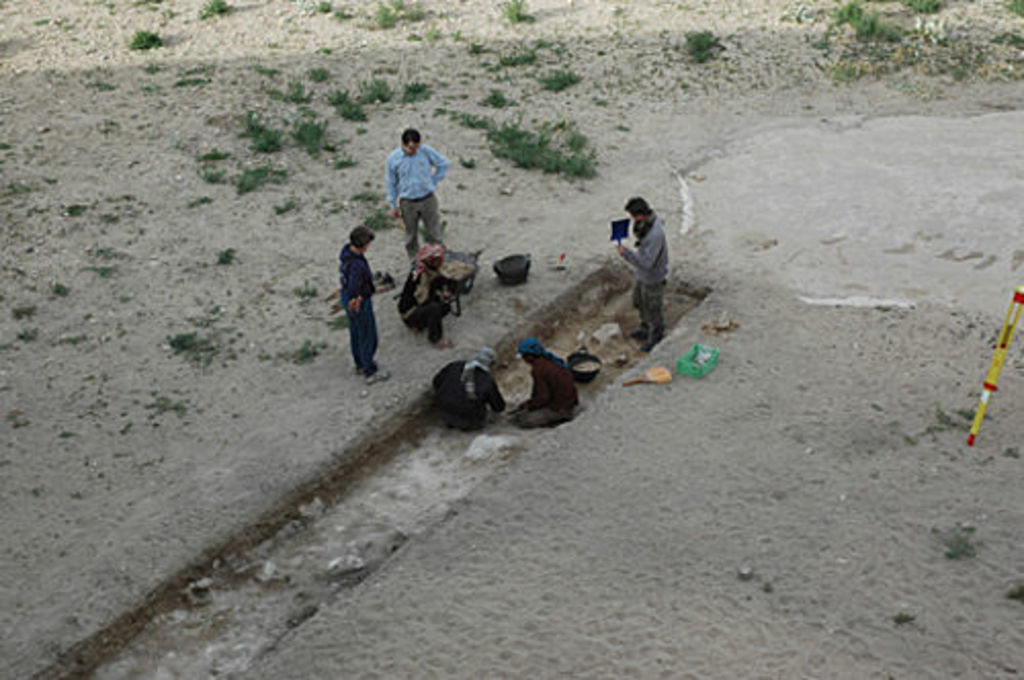 Wiltrud Wenning, Thomas Kabs, Marco Dehner and Bedool workmen digging along the trench in front of the Aslah triclinium on the southern terrace (photo: L. Gorgerat)