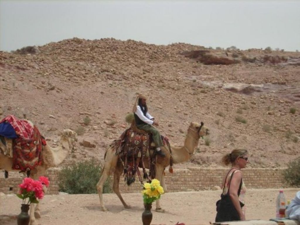 Fig. 91: Captain Jack Sparrow al-Bedool on his desert sea camel.