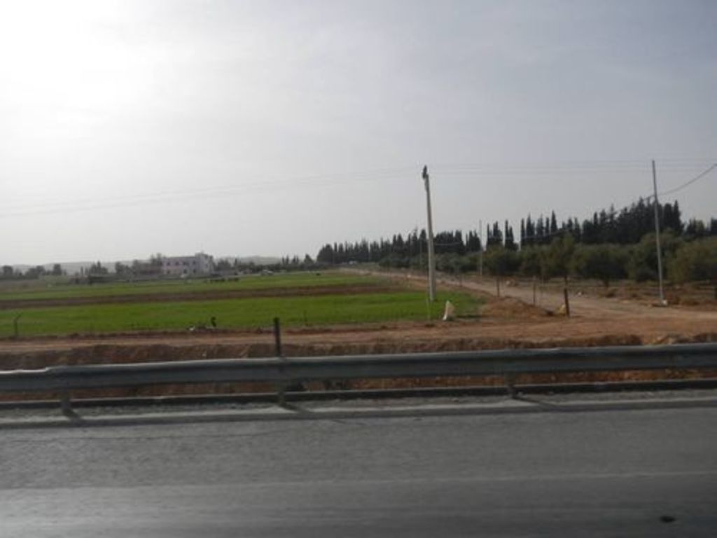 Fig. 5: Green fields along the desert highway from Amman to Maan.