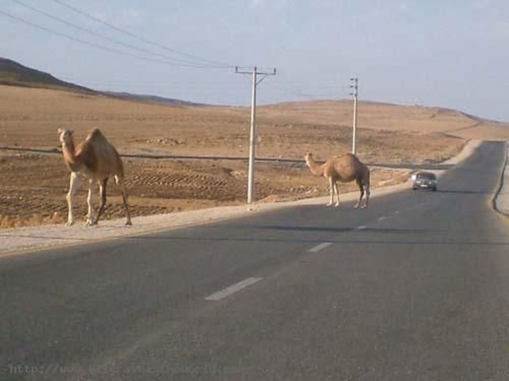 Fig. 66: Desert highway. Random picture picked on the internet.