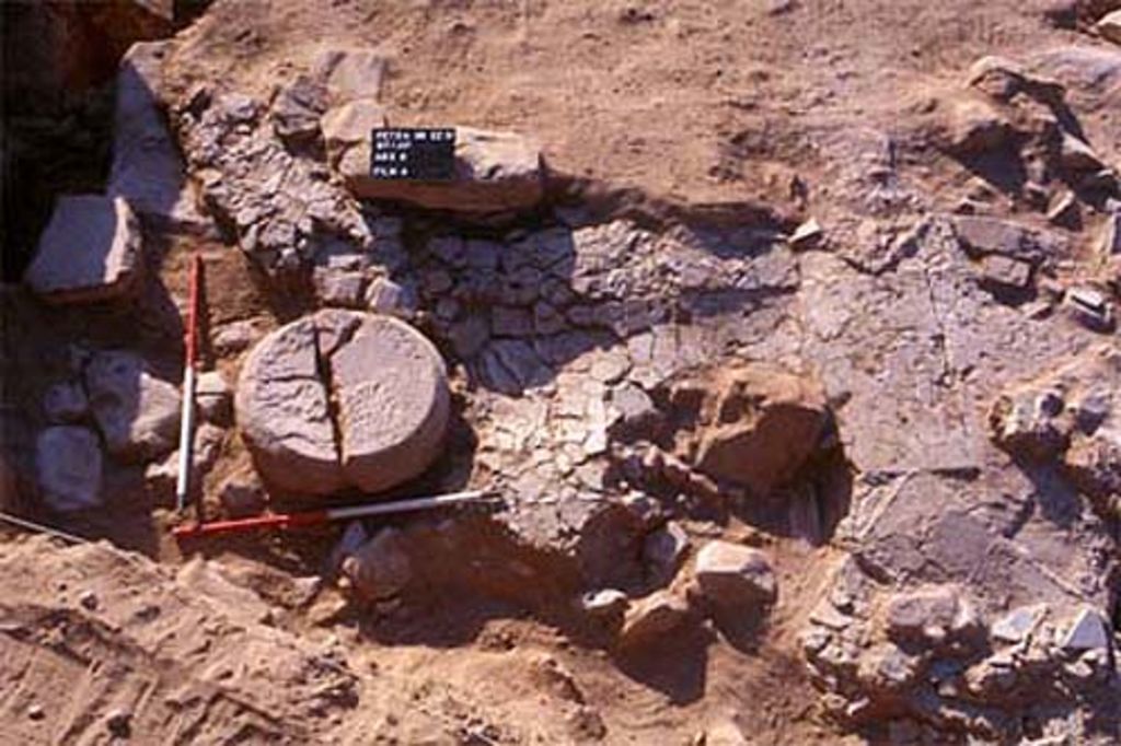 Fig. 4: EZ IV. Room 17. Mortar bedding of opus sectile pavement with fragments of marble tiles (photo: D. Keller)