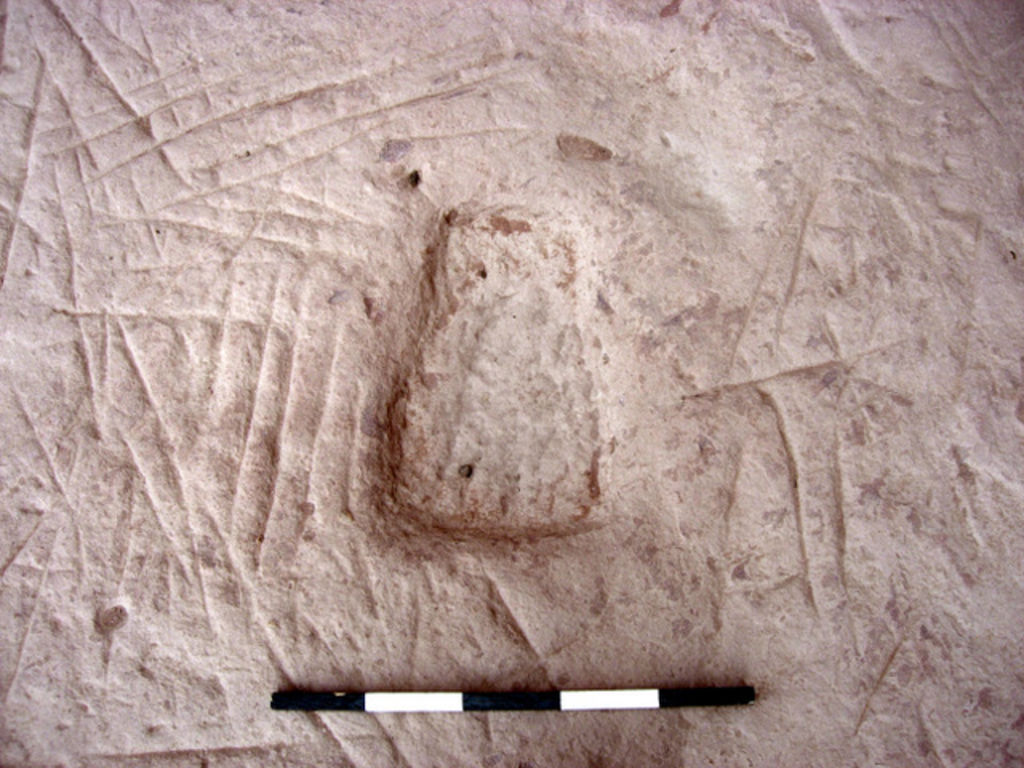 Fig. 9: Detail of tool-marks on bedrock, Trench 1, Sector A (photo: L. Wadeson)