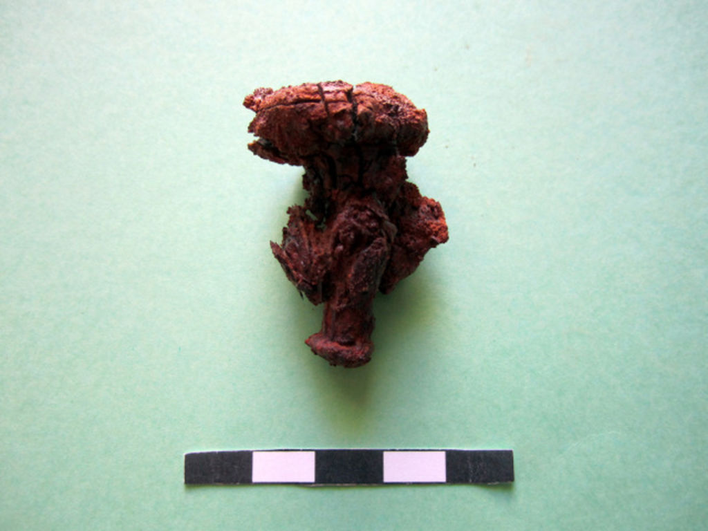 Fig. 45: Nail from side niche burial in arcosolium grave of Tomb 781 (photo: L. Wadeson)