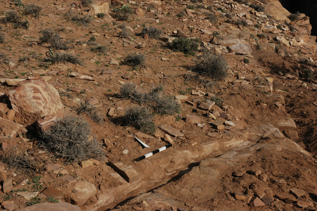 Fig. 6: Water channel bringing water into ST 20 (photo: S. G. Schmid)