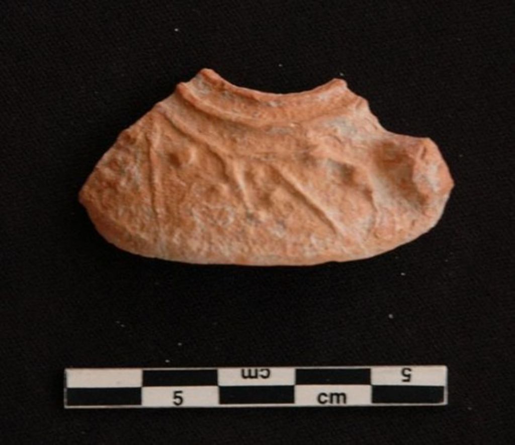 Fig. 15: Umm al-Biyara, ST 20, fragment of late Roman – early Byzantine lamp from the big hall of the bathing complex (photo: S. G. Schmid)