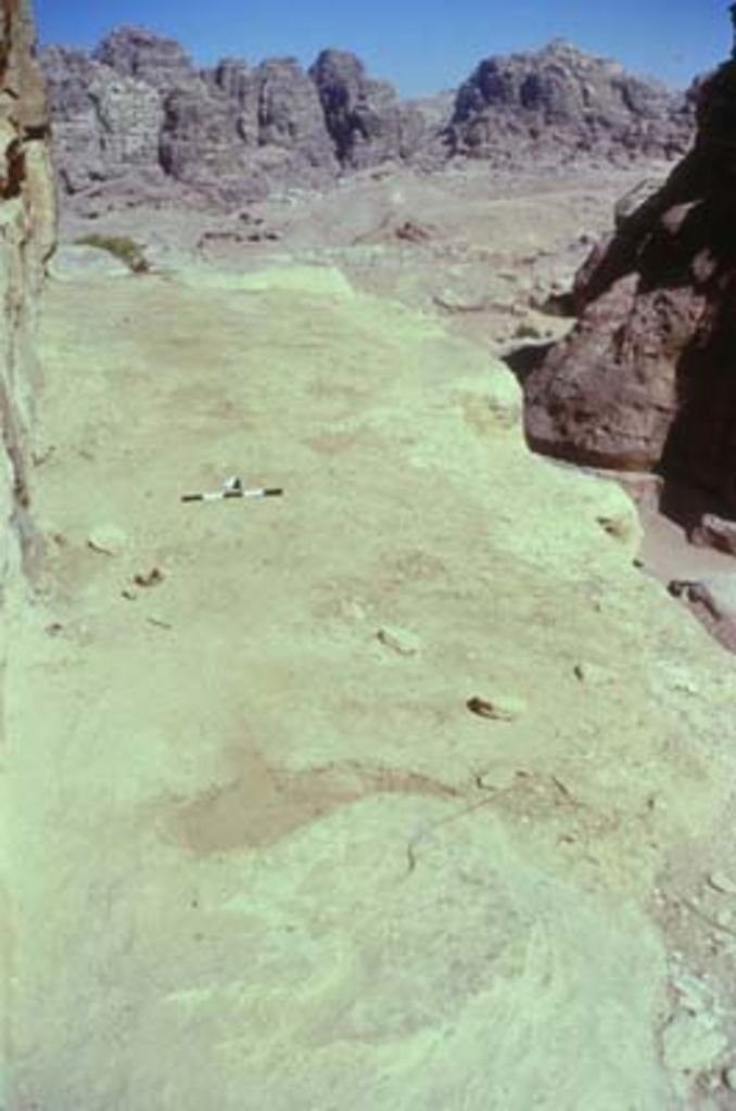 Fig. 13: Top of „Soldier Tomb“ before clearing (photo: S. G. Schmid)