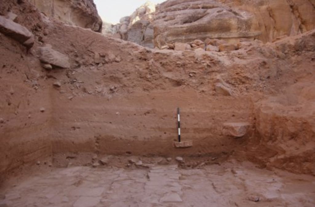 Fig. 21: Lower terrace, trench 2, S-profile showing alluvia and dumped material (photo: S. G. Schmid)