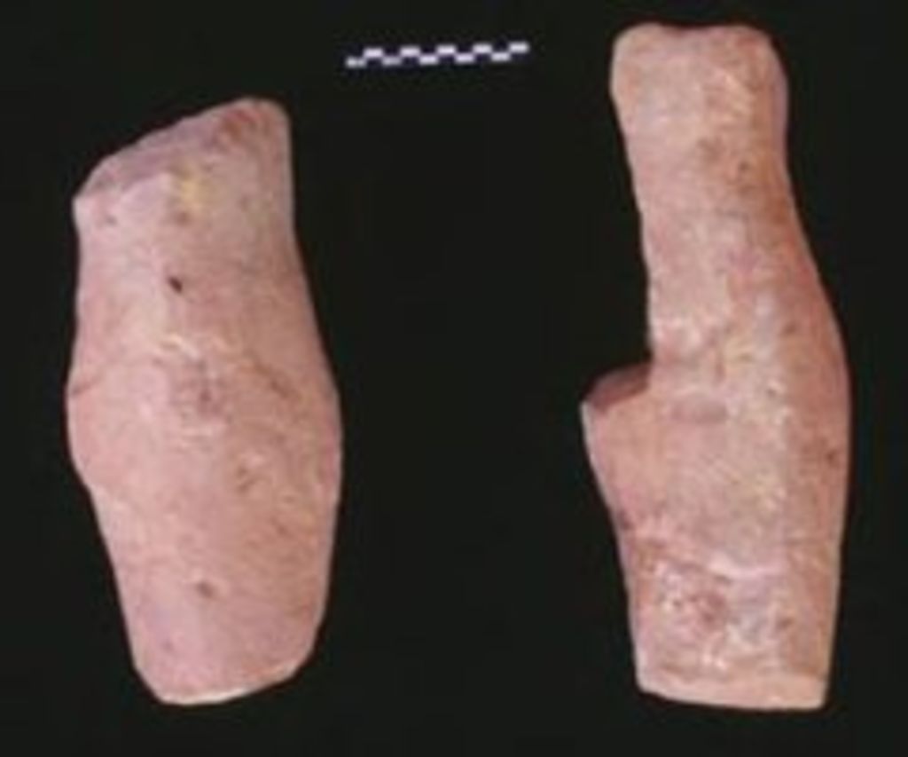 Fig. 16: Two left shanks from debris (photo: S. G. Schmid)