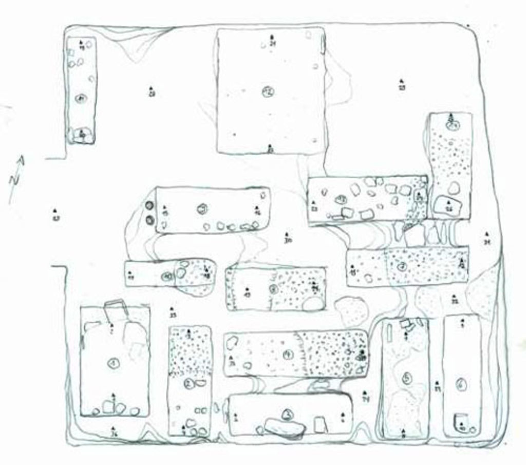 Fig. 21: „Renaissance Tomb“, distribution of graves (drawing: A. Barmasse)