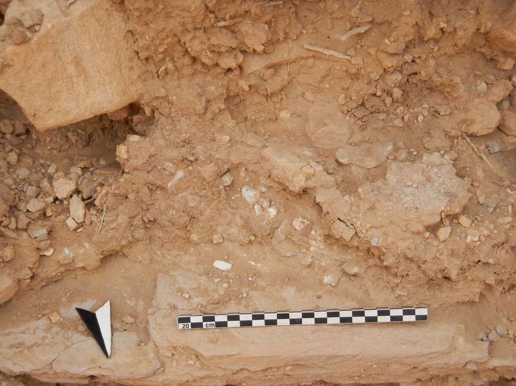 Fig. 16: Structure 2, remains of mosaic floor in situ (photo: S. G. Schmid)