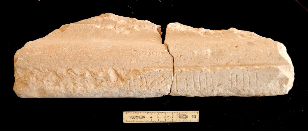 Fig. 15: Fragment of a Nabataean inscription on a moulded base, limestone with shell inclusions (photo: S. G. Schmid)