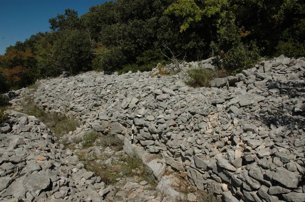 Fig. 11: Mur nord-sud en pierres sèches dans les secteurs B10–D11, vu du sud (photo: S. G. Schmid)