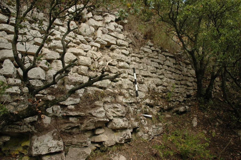 Fig. 27: Mur inférieur de la structure d’habitat (?) dans le secteur D8 depuis l’ouest (photo: S. G. Schmid)