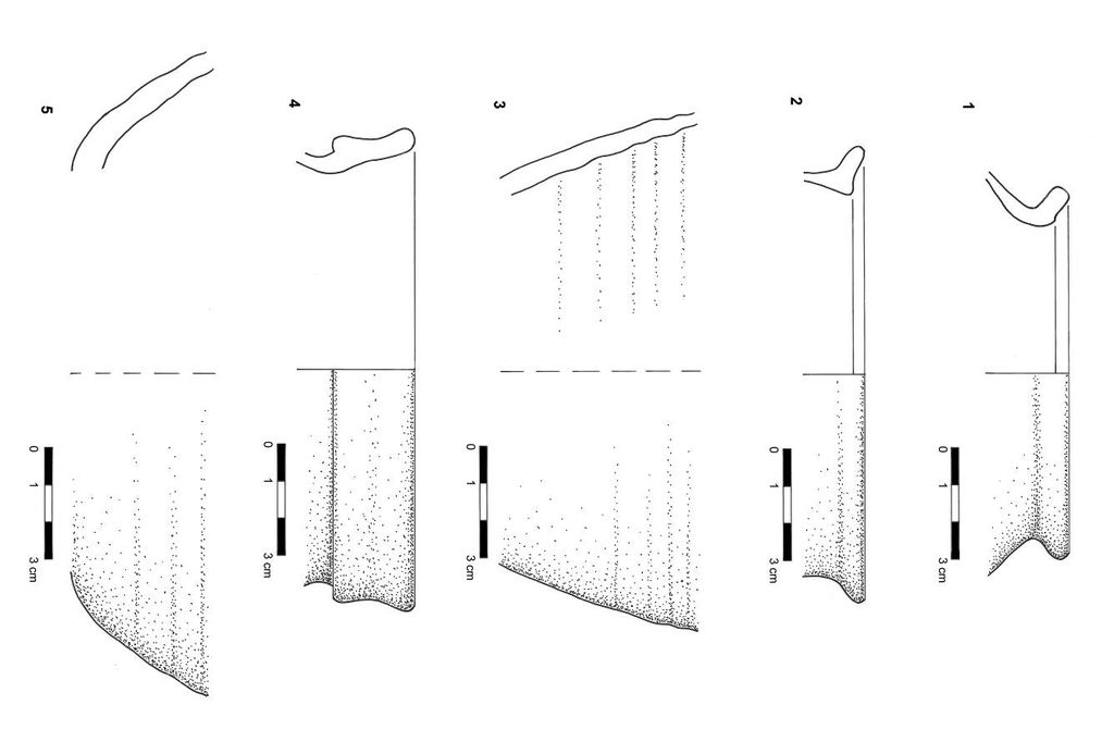 Fig. 31: Céramique de la structure d’habitat (?) dans le secteur D8 (photo: S. G. Schmid)