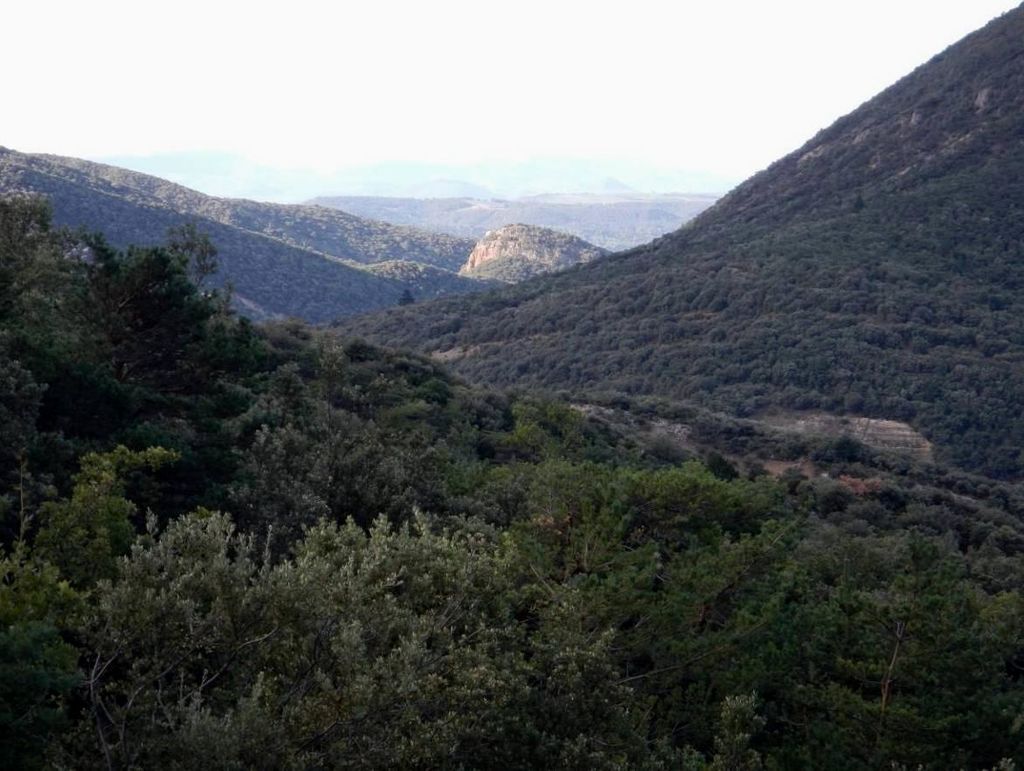 Fig. 28: Vue depuis le Rocher des Aures vers la colline St. Marcel du Pègue (photo: S. G. Schmid)